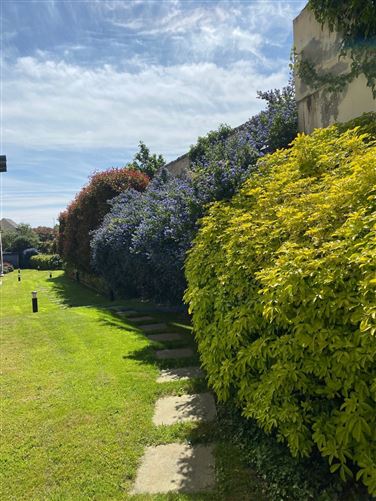 101A The Park, Clon Brugh, Aiken's Village, Sandyford, Dublin 18
