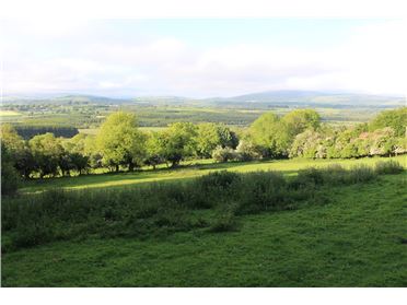 Image for Hillbrook, Tinahely, Wicklow, Y25T9X4