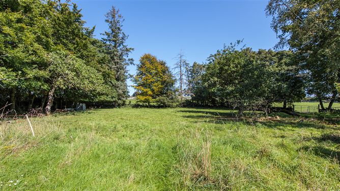 Stone Farmhouse on 1 acre, The Viaduct, Borris, Carlow