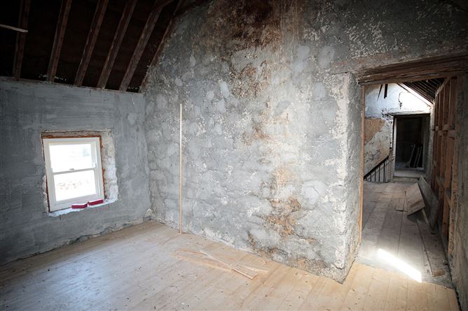 Stone Farmhouse on 1 acre, The Viaduct, Borris, Carlow