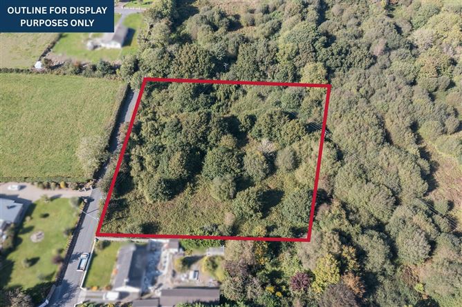 1.96 Acres Of Land, Butlerstown, Co. Waterford, Folio No WD11959