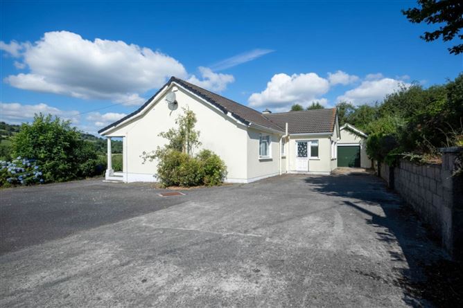 Photo 18 of 19 — Craan, Kildavin, Co. Carlow