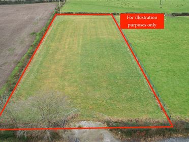 Image for Site, Oldtown, Clonkeen, Portlaoise, Laois