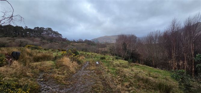 Lauragh Upper, Lauragh, Co. Kerry