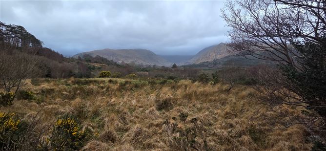 Lauragh Upper, Lauragh, Co. Kerry