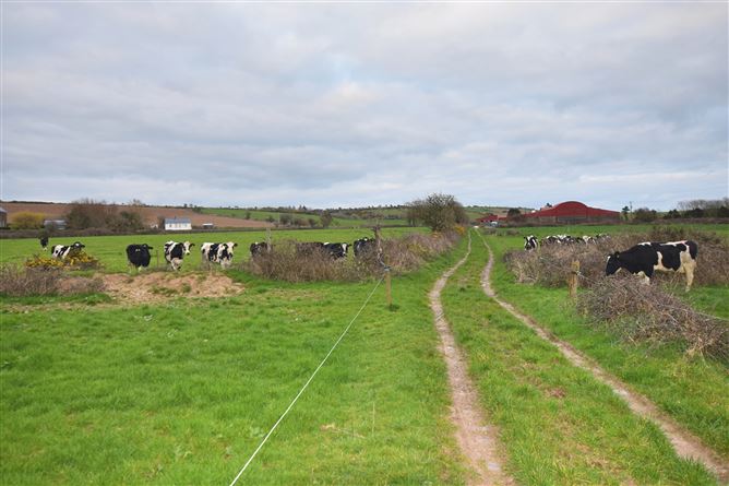 Crossford, Ardmore, Waterford