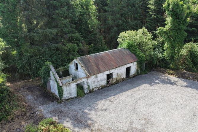 Photo 31 of 34 — Corgar Cottage, Gorvagh, Carrick-On-Shannon, Leitrim