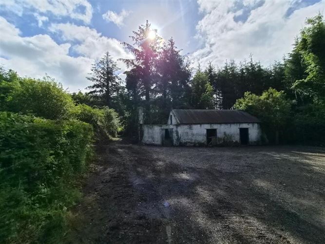 Photo 27 of 34 — Corgar Cottage, Gorvagh, Carrick-On-Shannon, Leitrim