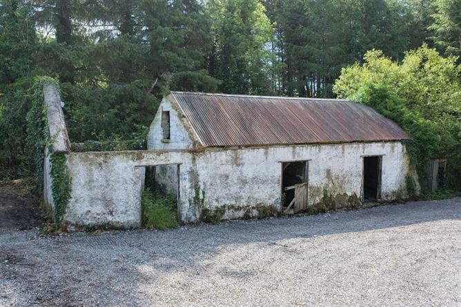 Photo 30 of 34 — Corgar Cottage, Gorvagh, Carrick-On-Shannon, Leitrim
