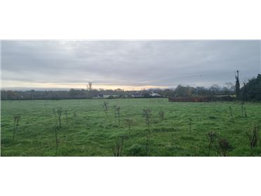 Image for 2 x 3.5 acres Sites SPP, Palatine, Co. Carlow