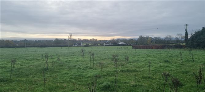 Main image for 3 x 3.5 acres Sites SPP, Palatine, Carlow