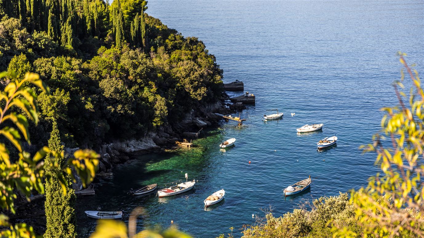 Aria to the Adriatic,Molunat, Dalmatia - Dubrovnik, Croatia