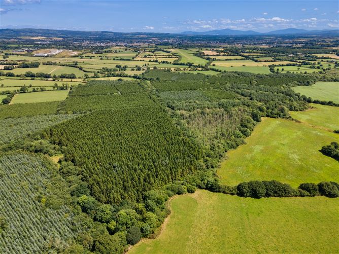 Lot 3 - Forestry At Newtown, Bonnettstown, Co. Kilkenny
