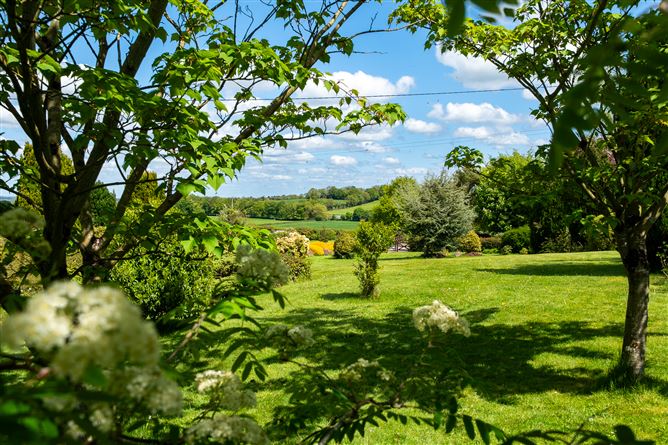 Photo 49 of 61 — The Rockery, Rathbeg, Sharavogue, Birr, Offaly