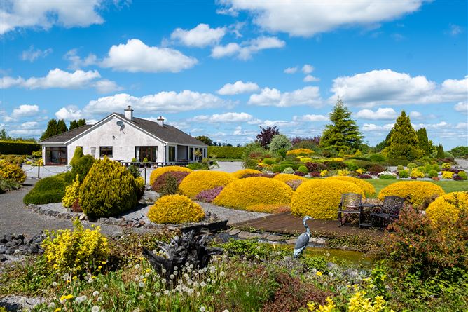 Photo 46 of 61 — The Rockery, Rathbeg, Sharavogue, Birr, Offaly