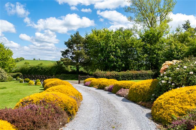 Photo 50 of 61 — The Rockery, Rathbeg, Sharavogue, Birr, Offaly