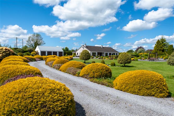 Photo 40 of 61 — The Rockery, Rathbeg, Sharavogue, Birr, Offaly