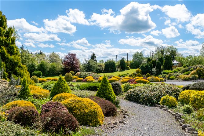 Photo 42 of 61 — The Rockery, Rathbeg, Sharavogue, Birr, Offaly