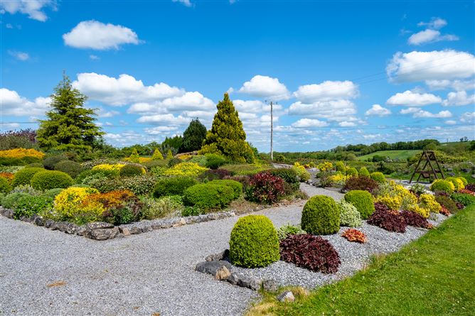 Photo 43 of 61 — The Rockery, Rathbeg, Sharavogue, Birr, Offaly