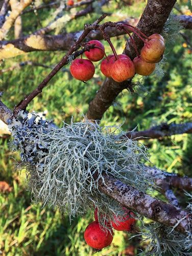 Arcadia, Kilroe East Inverin, Inverin, Co. Galway