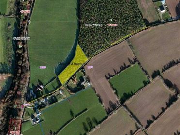 Image for Caim Woods, Caim, Enniscorthy, County Wexford