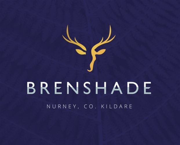 2 Brenshade, Nurney, Kildare