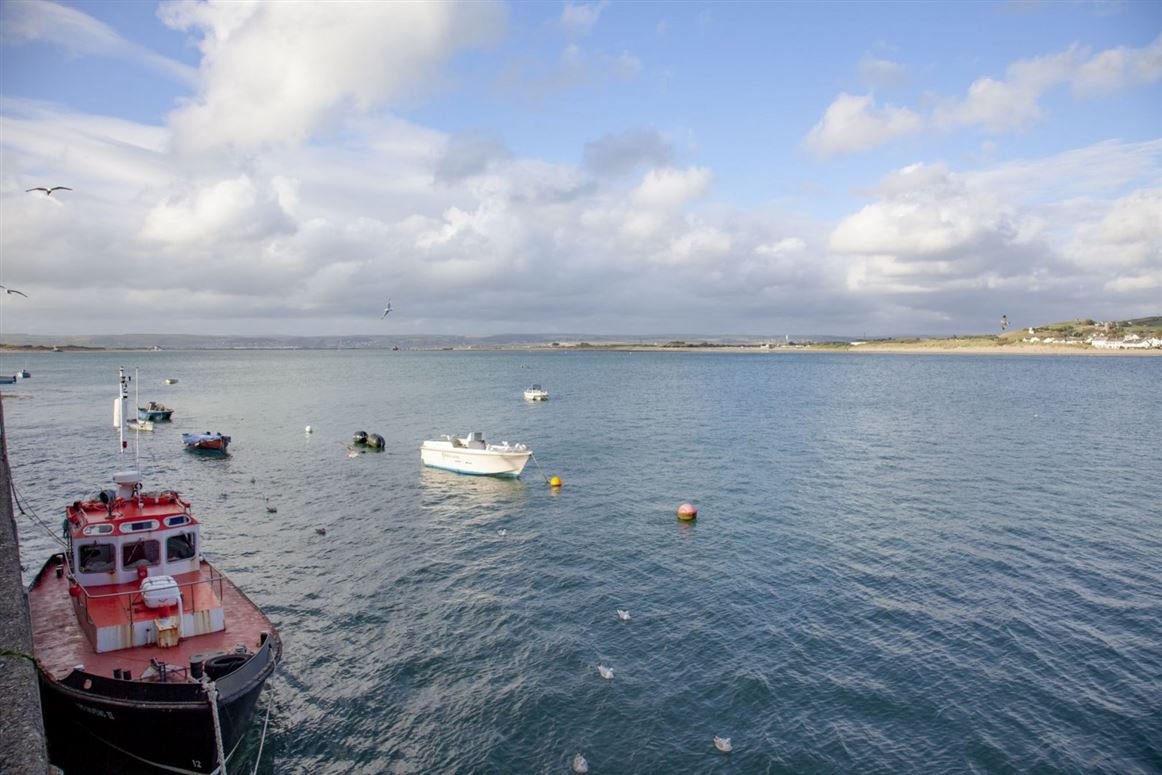 The Elegant Estuary,Appledore, Devon, United Kingdom