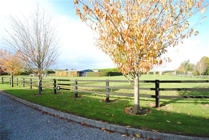 Rathbeg Lane, Sharavogue, Birr, Co. Offaly