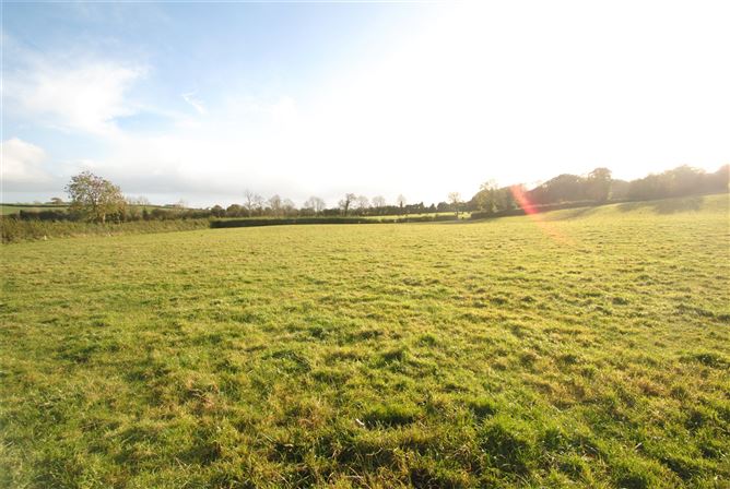 Rathbeg Lane, Sharavogue, Birr, Co. Offaly