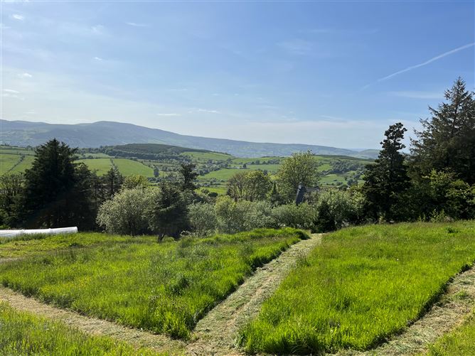 Tountinna Cottage, Tountinna, Ballina, Tipperary