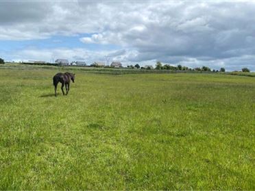 Image for Mirah, Turloughmore, Co. Galway