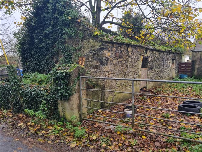 Derryfadda (Derelict residence), Clonlara, Clare