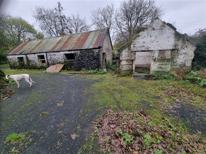 Derryfadda (Derelict residence), Clonlara, Clare