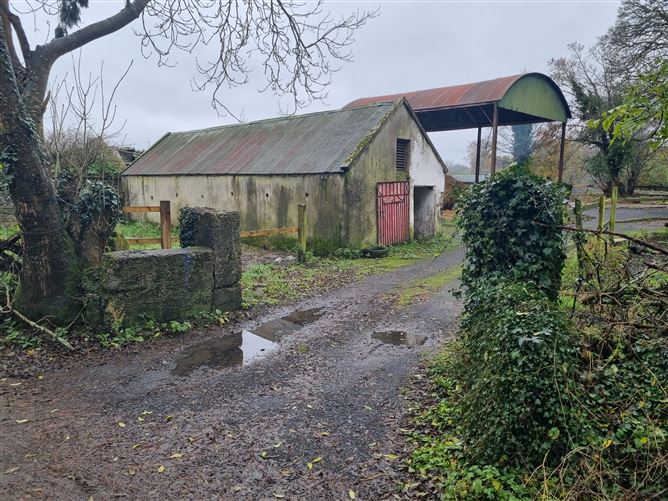 Derryfadda (Derelict residence), Clonlara, Clare