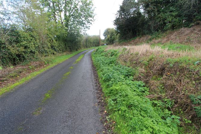 Corratanty, Castleblayney, Monaghan