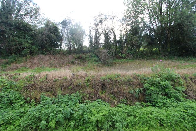 Corratanty, Castleblayney, Monaghan
