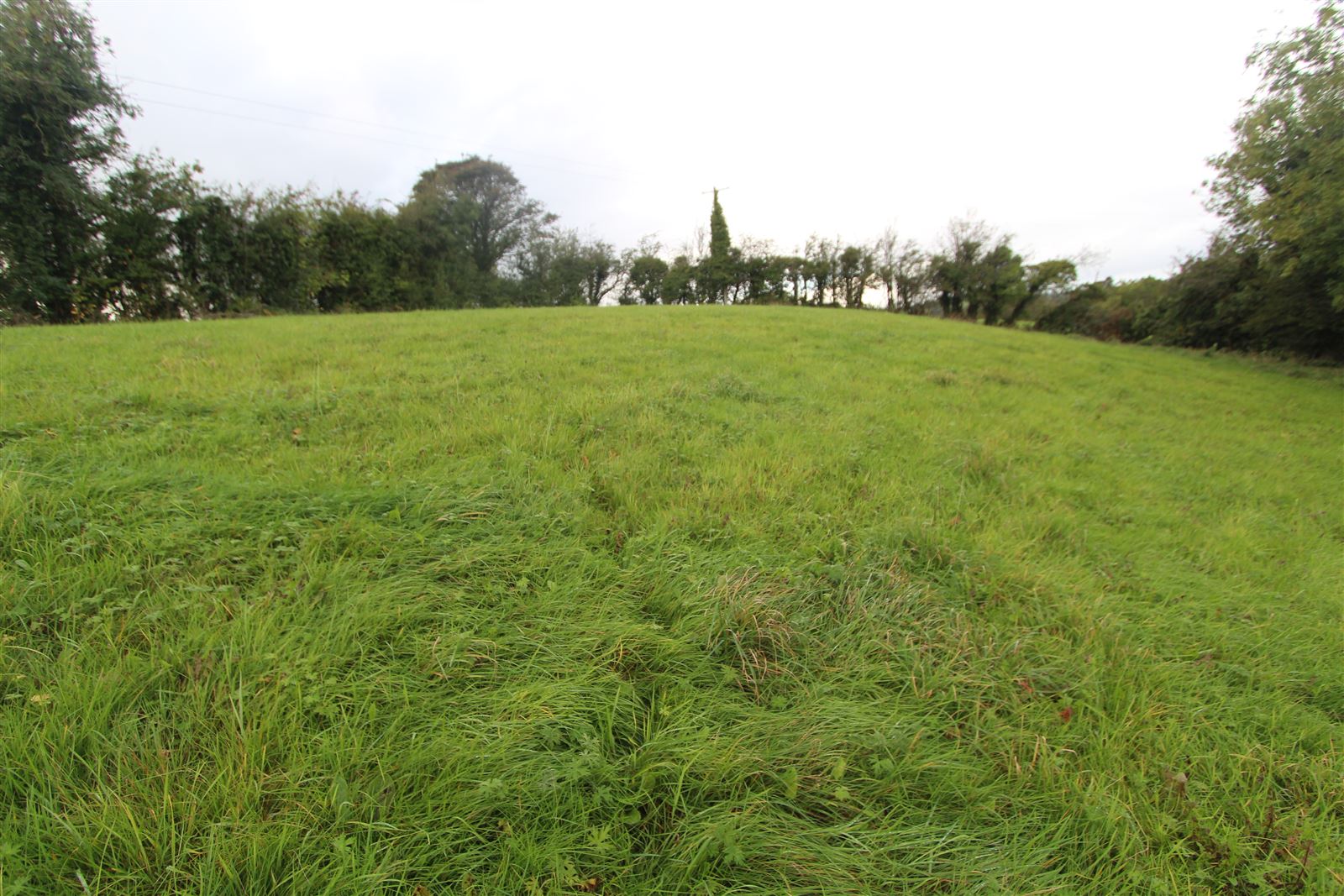Photo 1 of 5 — Corratanty, Castleblayney, Monaghan