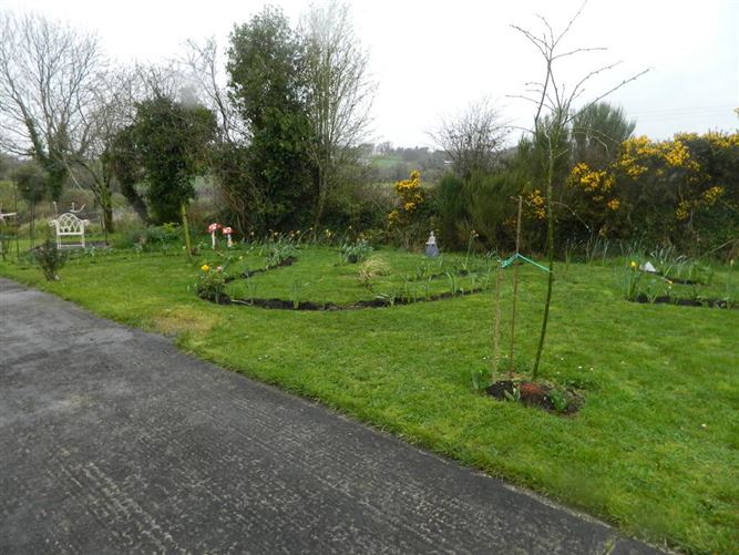 Killmackenny, Aughavas, Corriga, County Leitrim