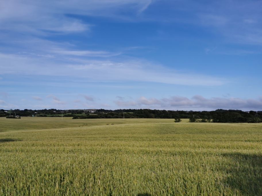 Garrylough, Screen, Wexford