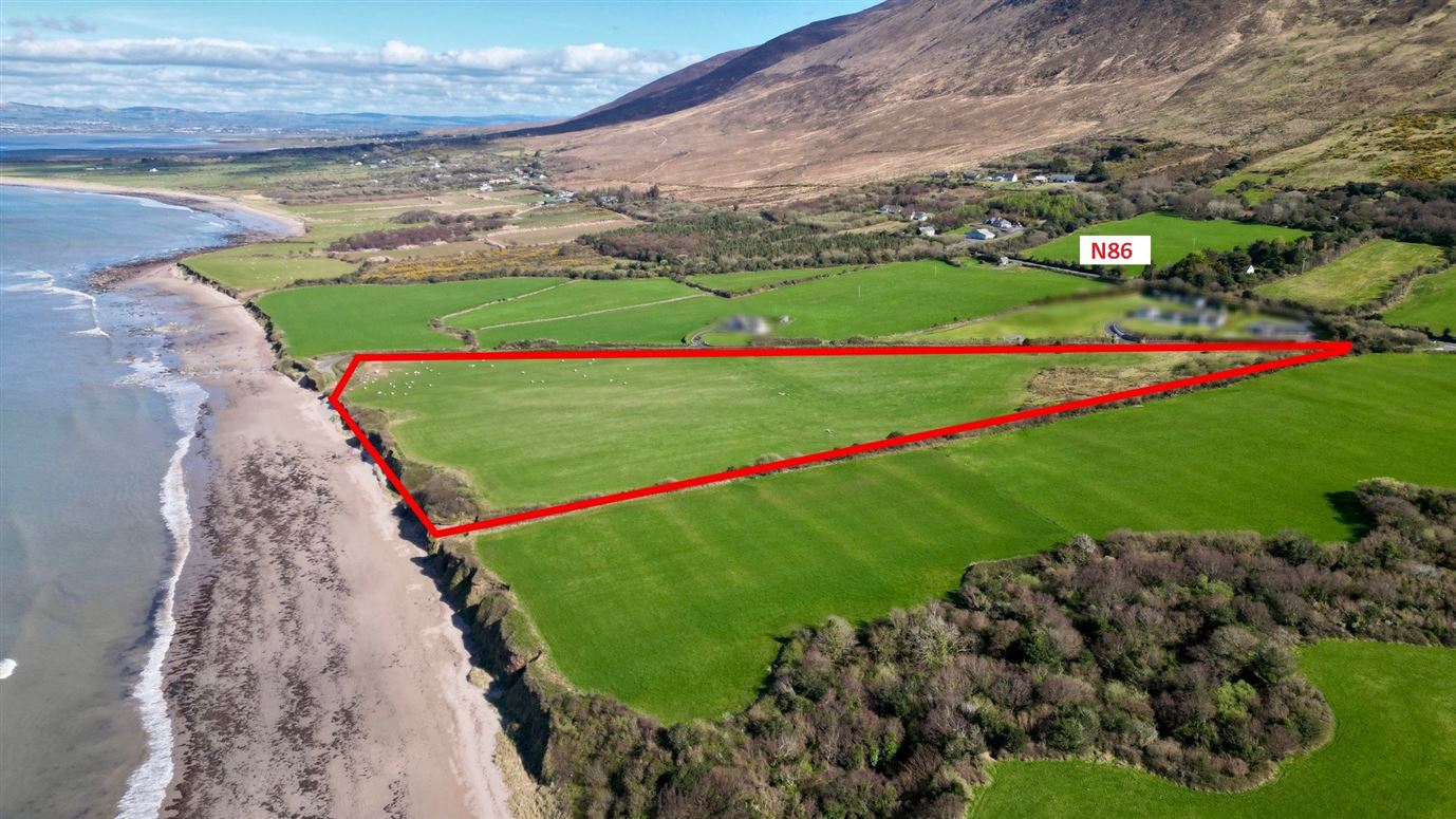 Bunawonder, Camp, Kerry
