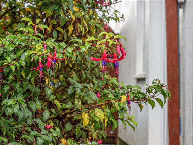 75 The Millrace, Burrin Road, Carlow Town, Carlow