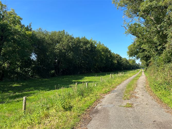 Blackacre, Paulstown, Kilkenny