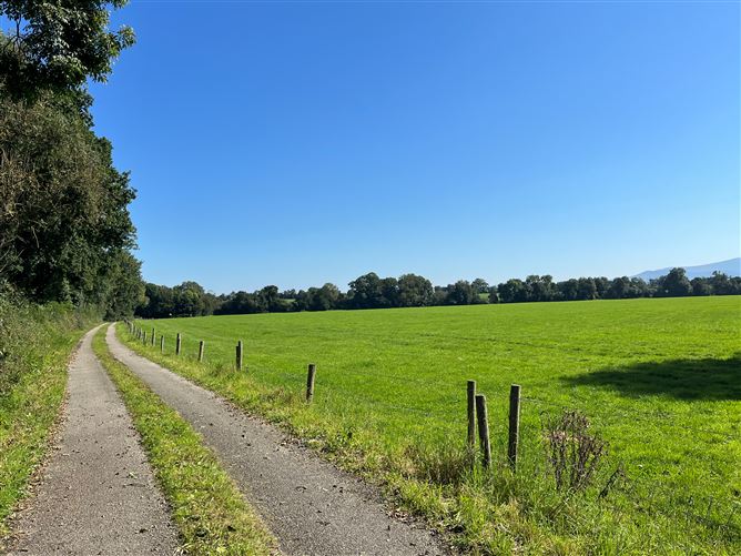 Blackacre, Paulstown, Kilkenny