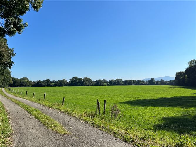 Blackacre, Paulstown, Kilkenny