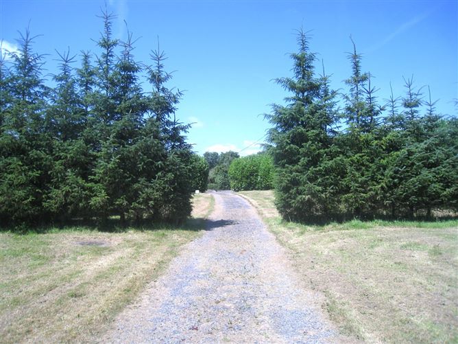 Photo 54 of 59 — Lackan, Edgeworthstown, Co. Longford