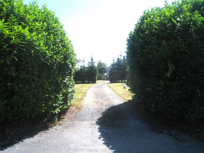 Photo 53 of 59 — Lackan, Edgeworthstown, Co. Longford