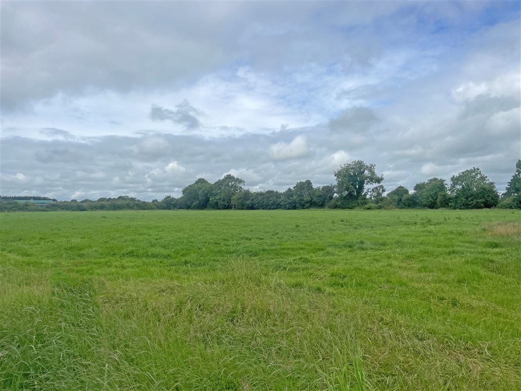 Loughanstown, Tara, Meath