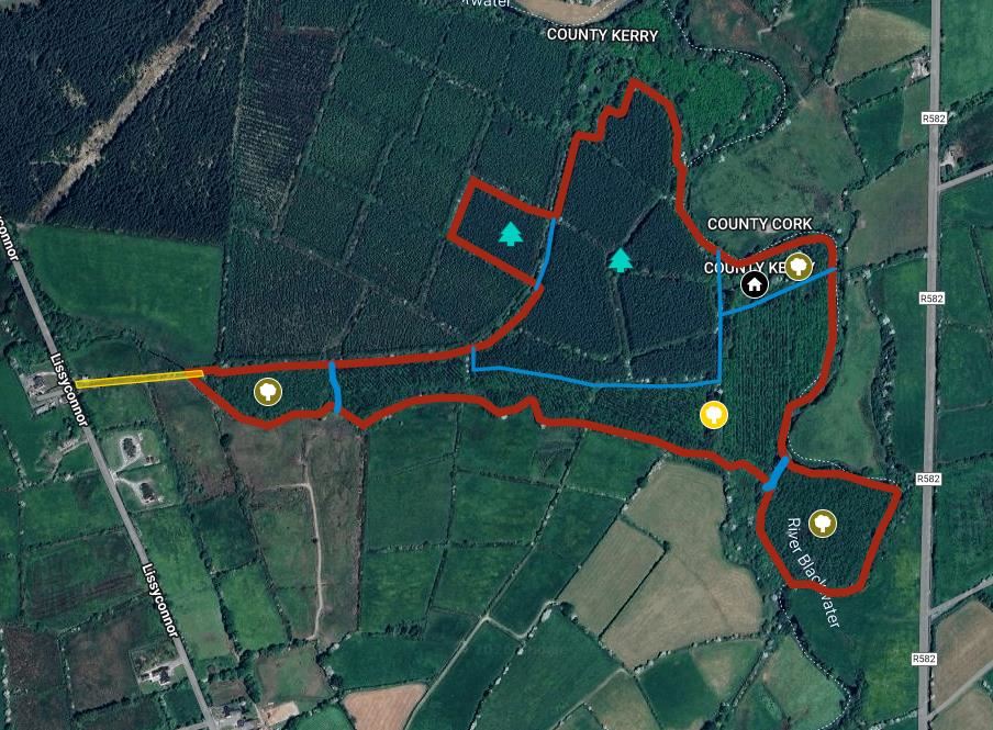 Knocknaseed, Gneeveguilla, Rathmore, Kerry