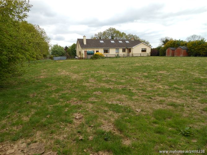 Walterstown,, Nurney, Kildare