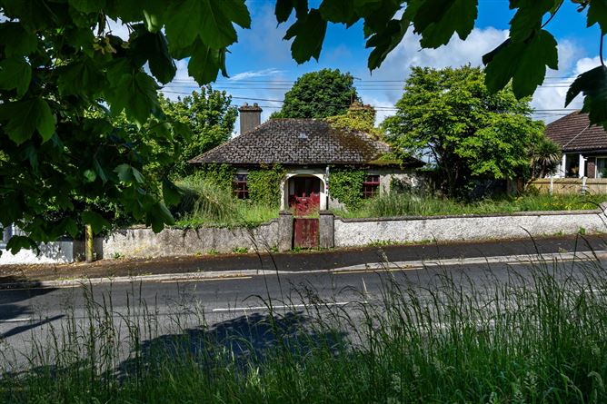 The Fairgreen, Clara, Co. Offaly